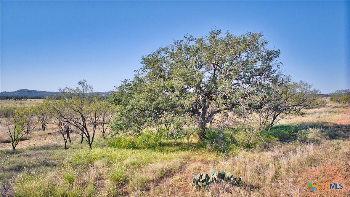 10335 Hickory Grove Road Property Photo 25
