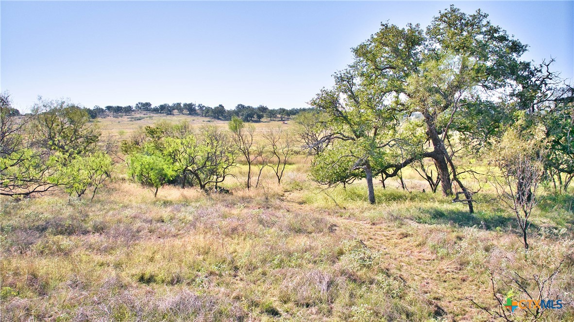 10335 Hickory Grove Road Property Photo 30