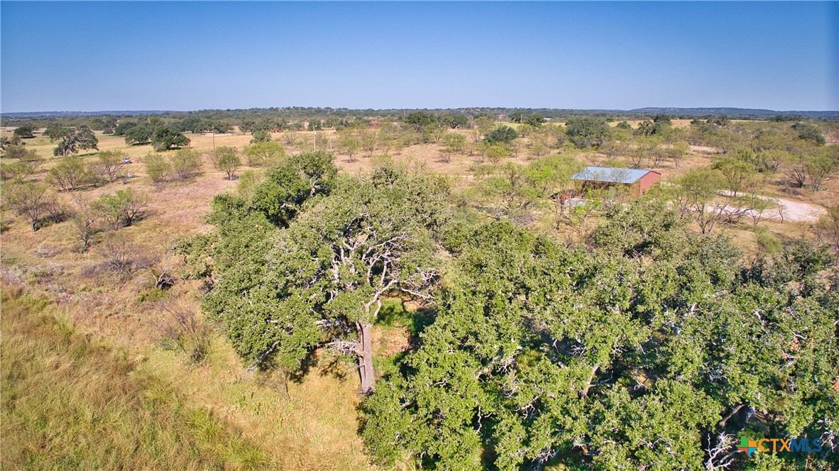 10335 Hickory Grove Road Property Photo 38