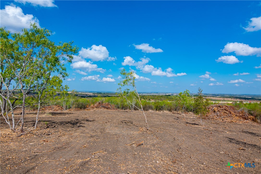 13004 Fm 3353 Property Photo 4