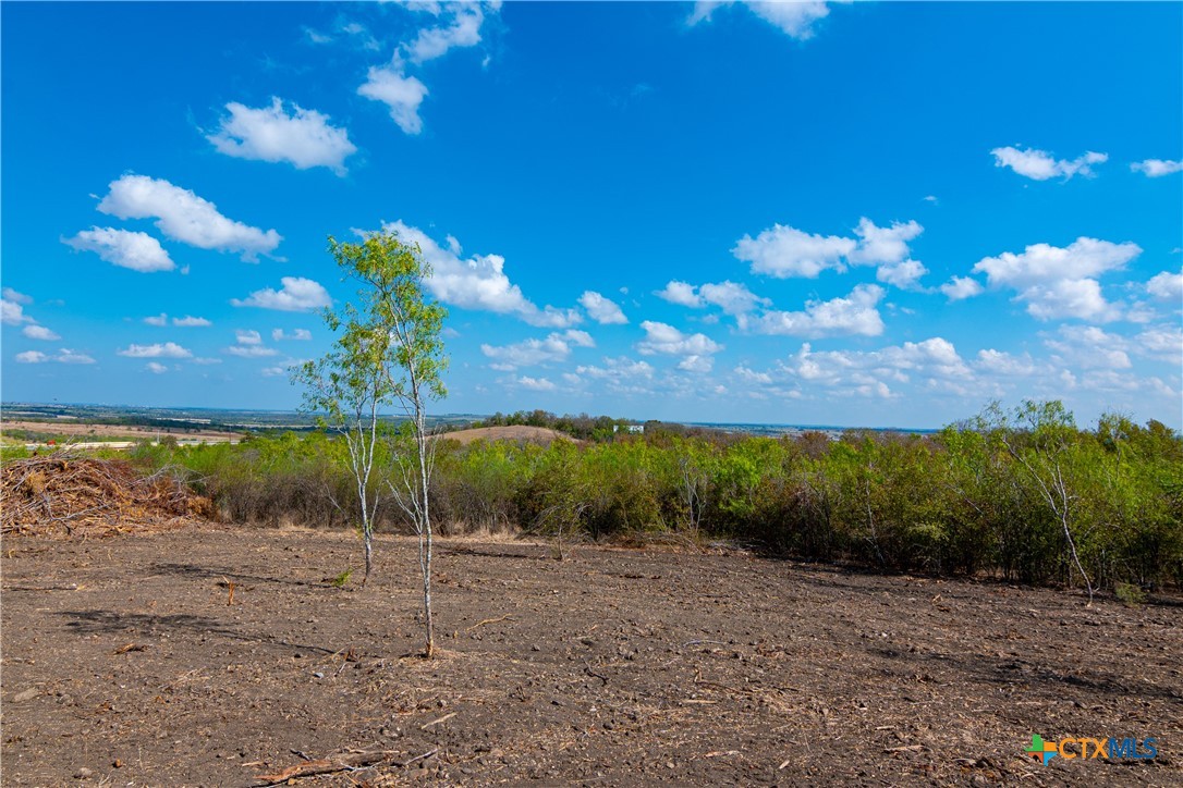 13004 Fm 3353 Property Photo 5