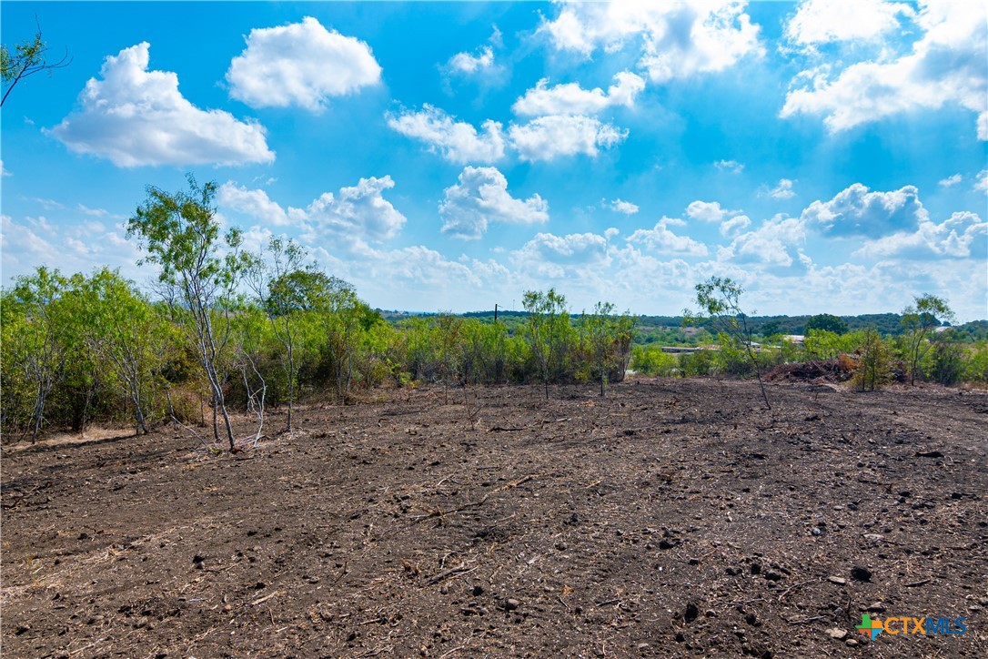 13004 Fm 3353 Property Photo 6