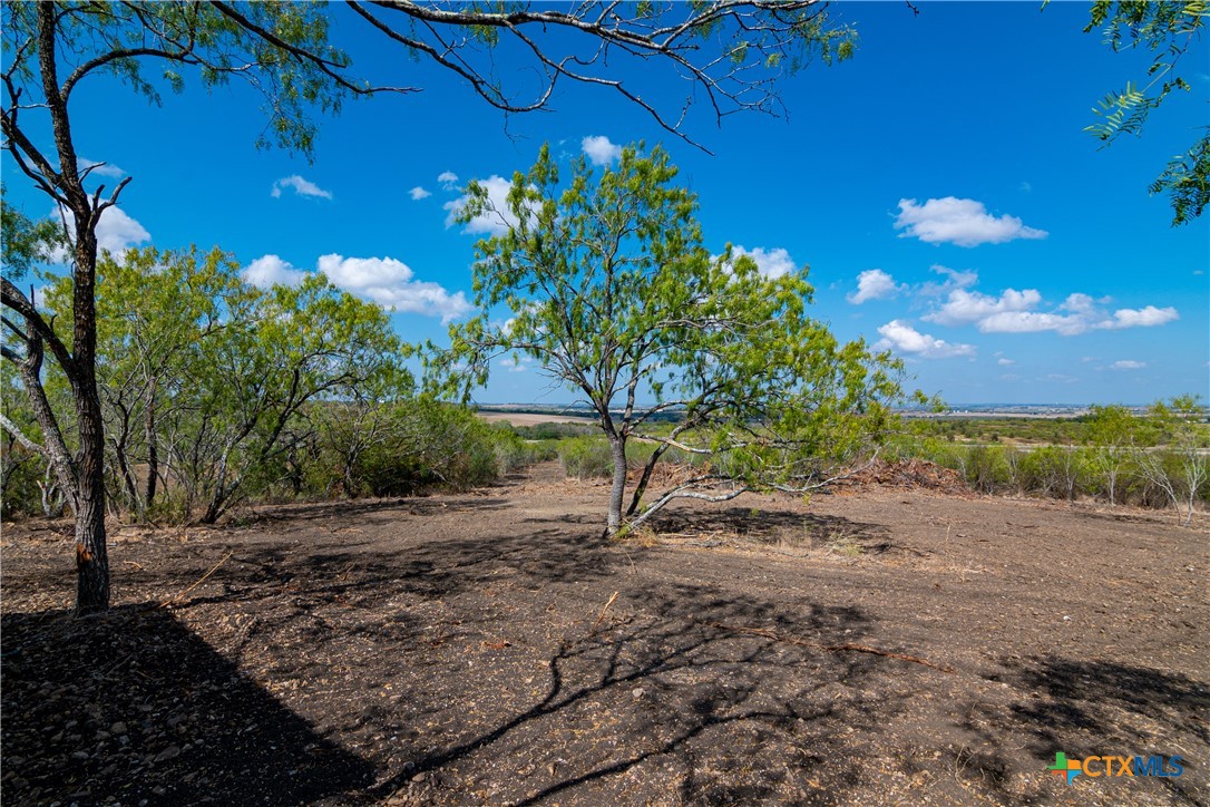 13004 Fm 3353 Property Photo 8
