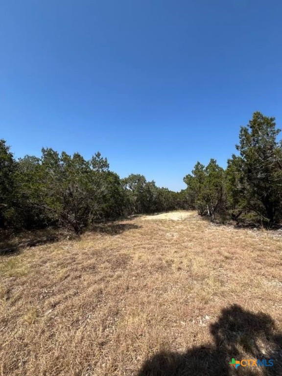 1585 Hilltop Ridge Property Photo 2