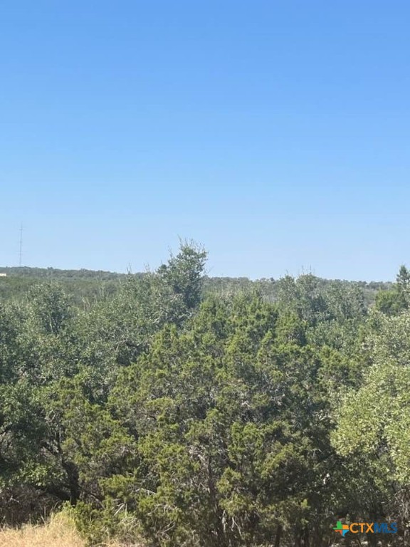 1585 Hilltop Ridge Property Photo 3