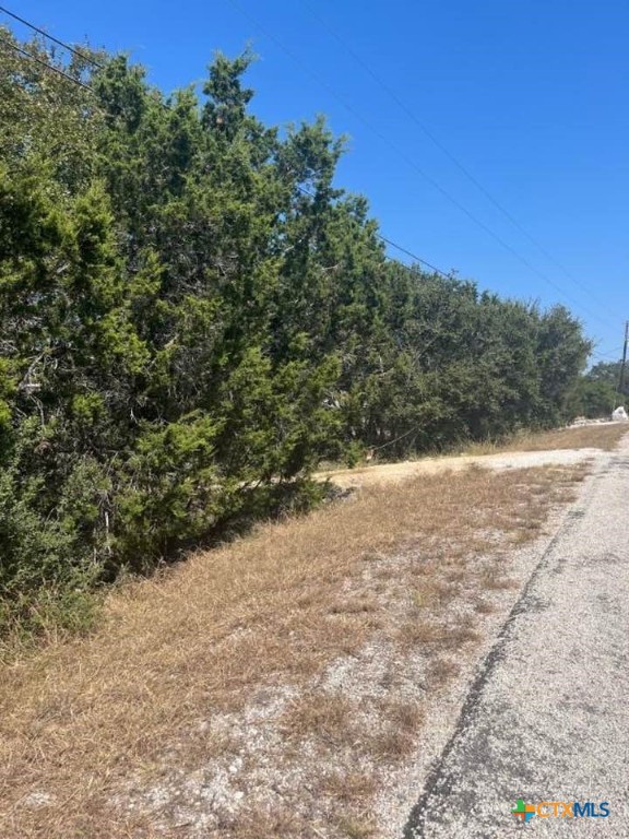 1585 Hilltop Ridge Property Photo 4