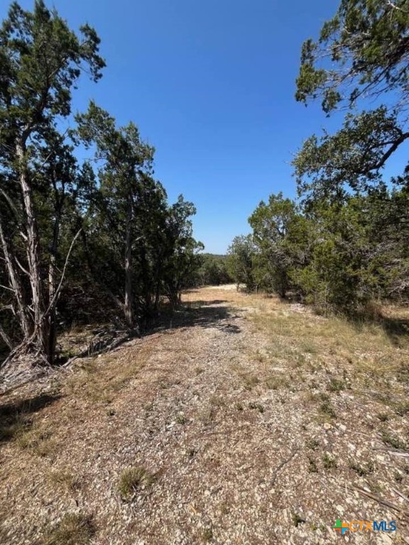 1585 Hilltop Ridge Property Photo 5