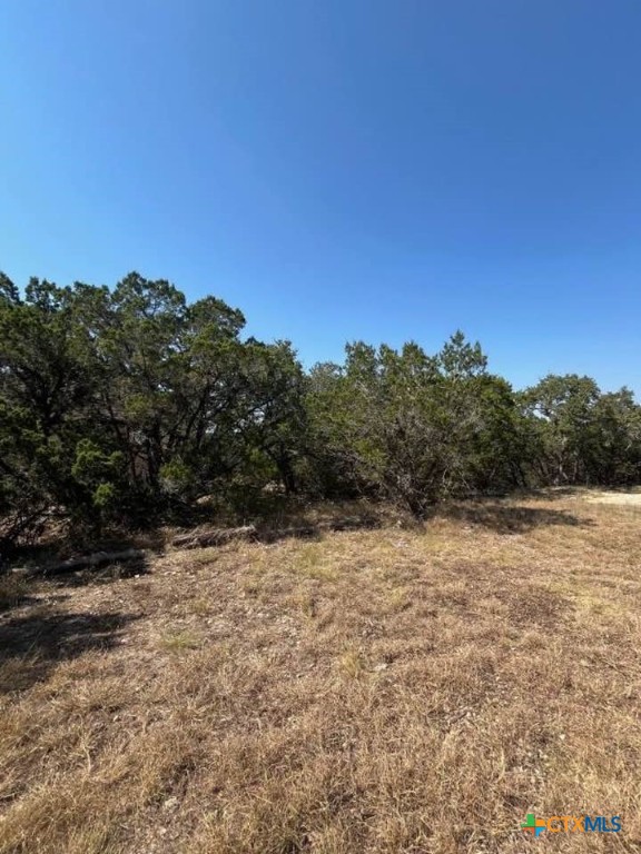 1585 Hilltop Ridge Property Photo 6