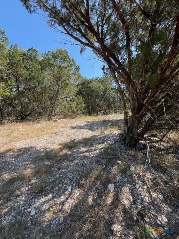 1585 Hilltop Ridge Property Photo 7