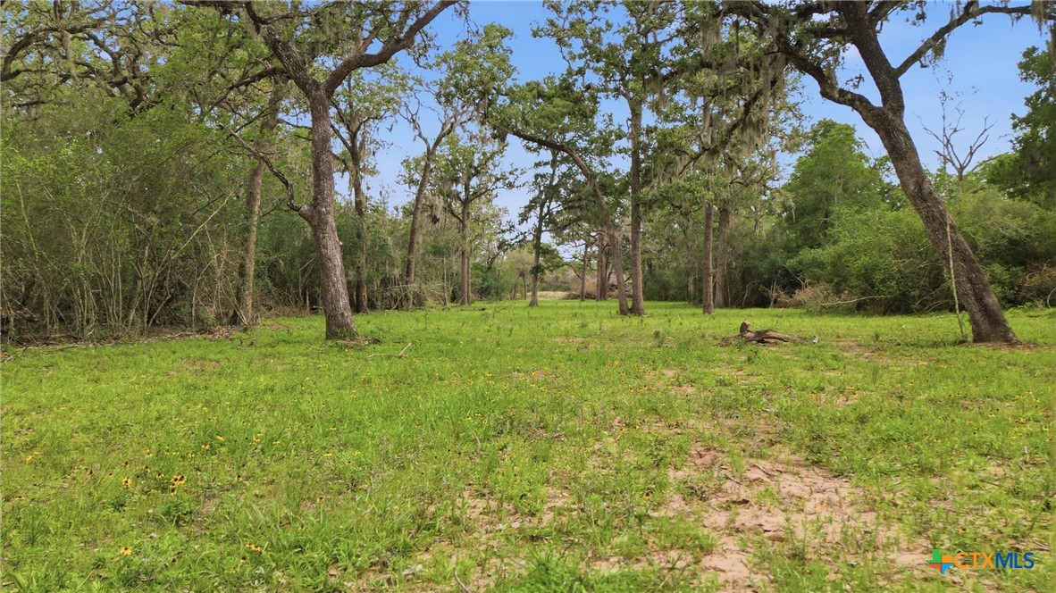 Tbd Fm 530 Property Photo 4