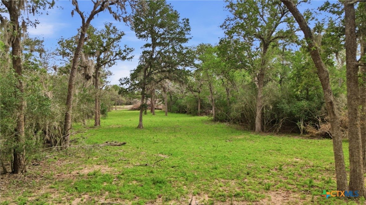 Tbd Fm 530 Property Photo 5