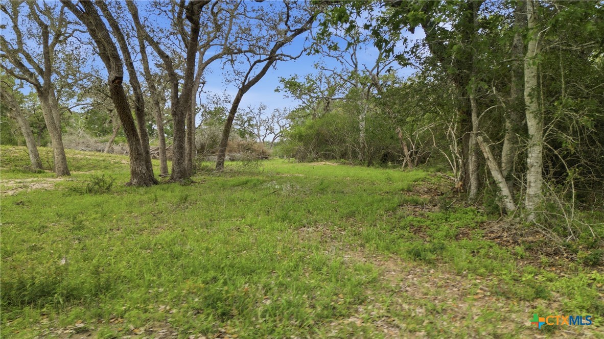 Tbd Fm 530 Property Photo 12