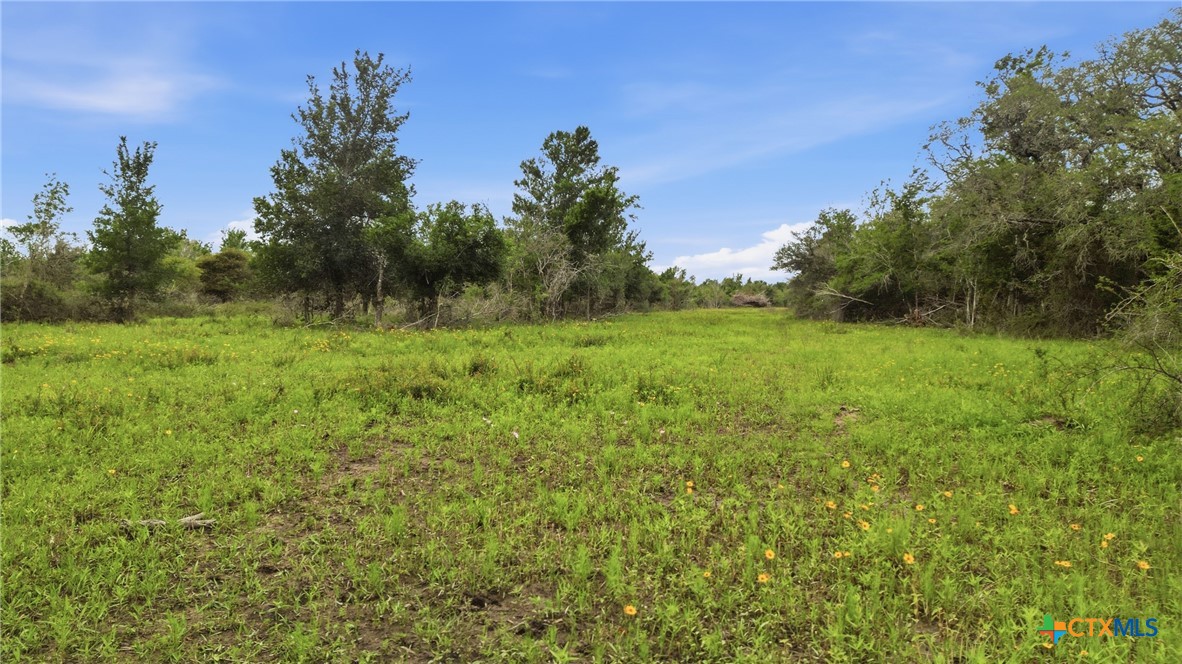 Tbd Fm 530 Property Photo 13