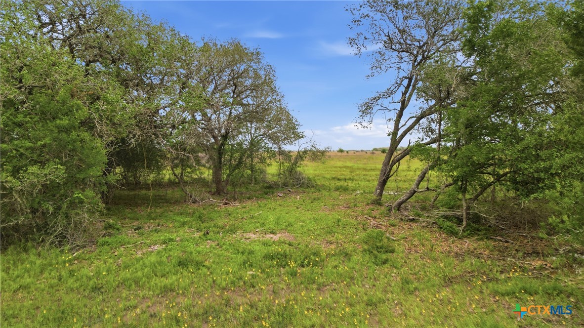 Tbd Fm 530 Property Photo 20