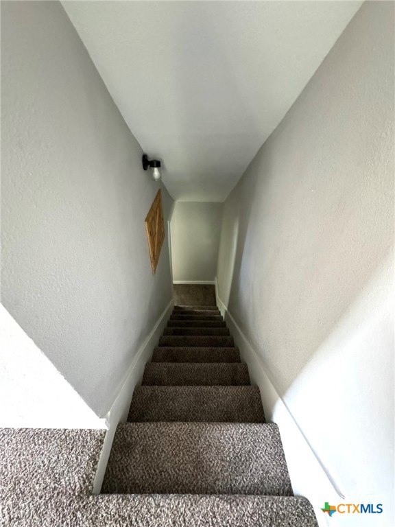 509 Mayborn Drive Property Photo 29