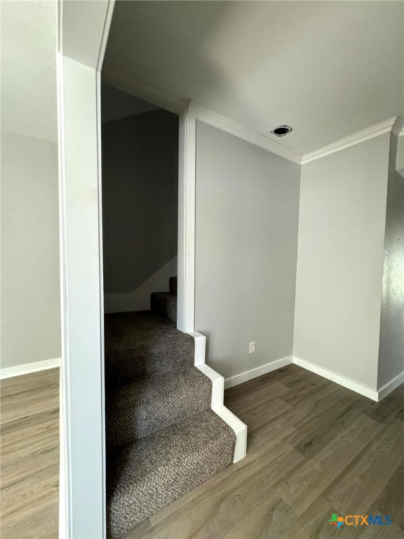 509 Mayborn Drive Property Photo 39