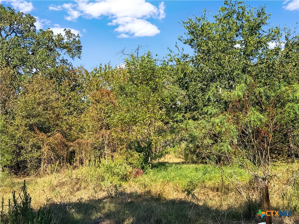 5108 Cowan Road Property Photo 4