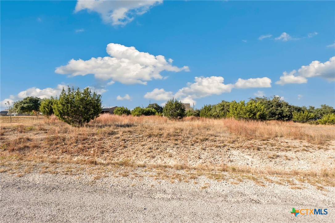 115 Jacob Dearing Property Photo 6
