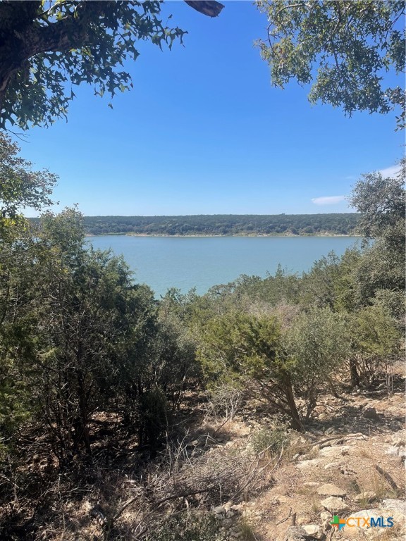 15933 Goliad Loop Property Photo 40