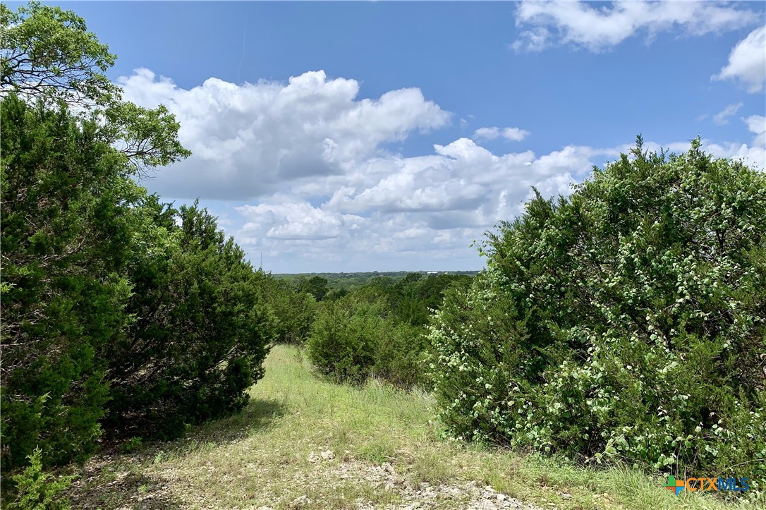 Lot 7 Sawtooth Drive Property Photo 8