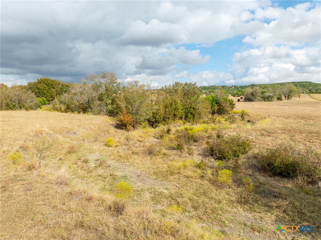 7247 N State Highway 36 Property Photo 29