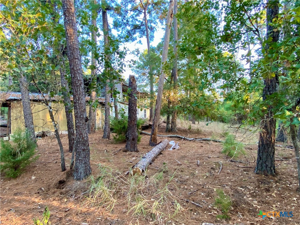 403 Tucumcari Property Photo 15