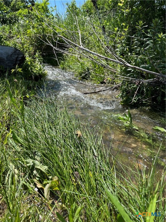 16071 Fm 107 Property Photo 1