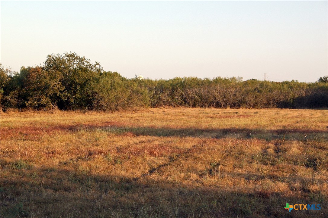 11445 Fm 1854 Property Photo 4