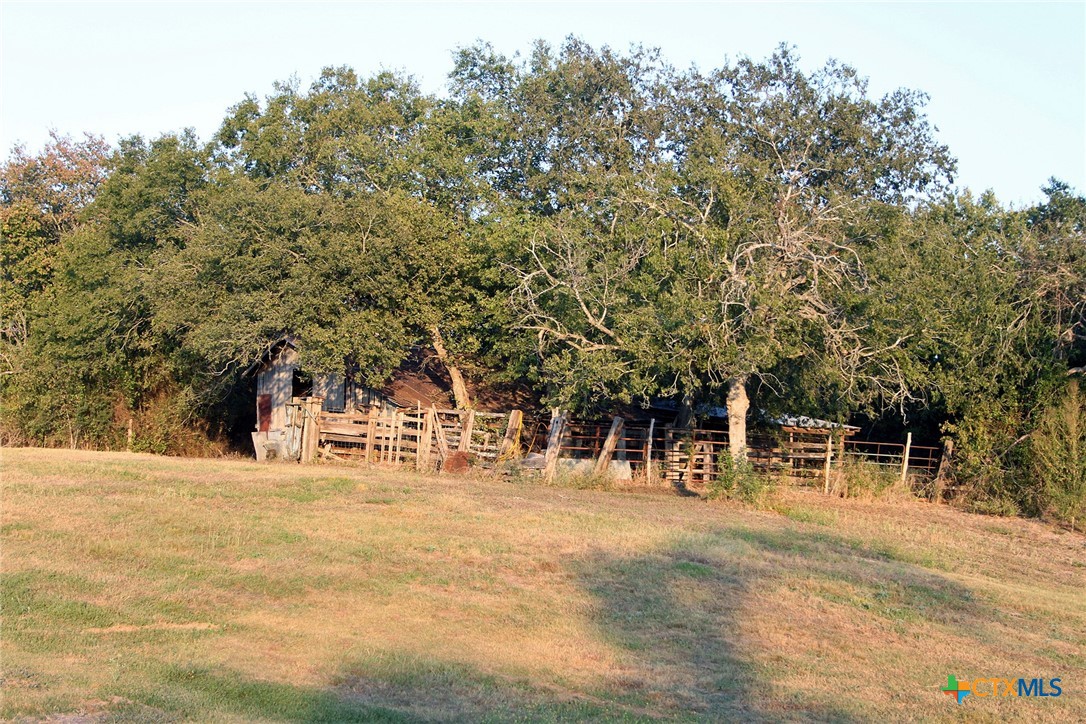 11445 Fm 1854 Property Photo 14