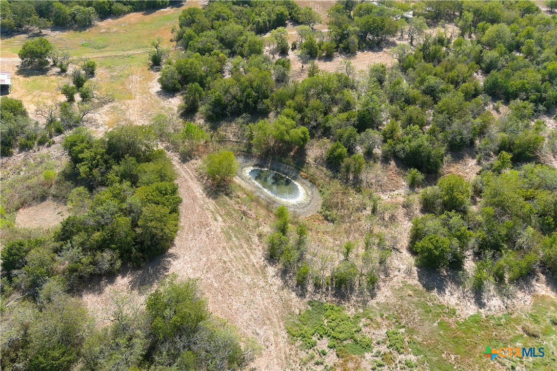 11445 Fm 1854 Property Photo 32