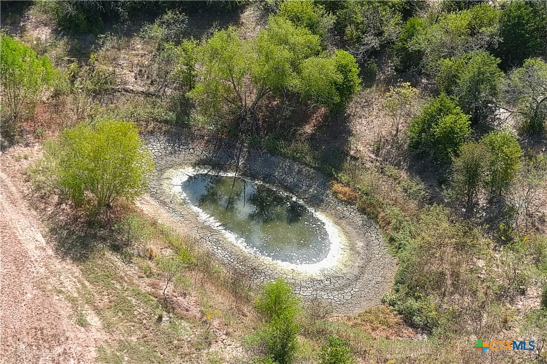11445 Fm 1854 Property Photo 34