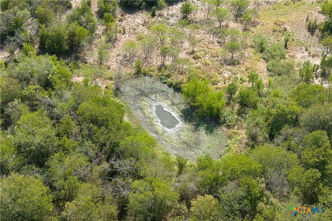 11445 Fm 1854 Property Photo 35