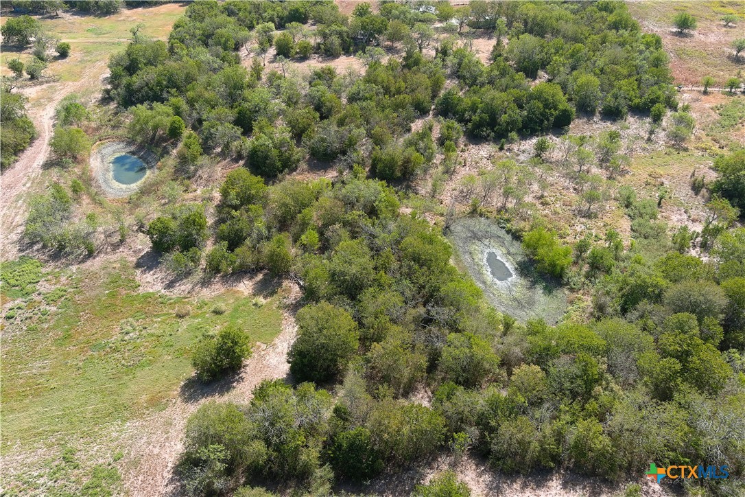 11445 Fm 1854 Property Photo 36