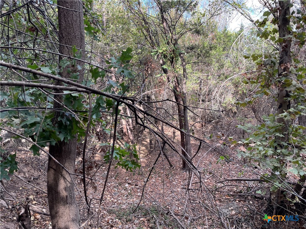 2005 Highland Drive Property Photo 10