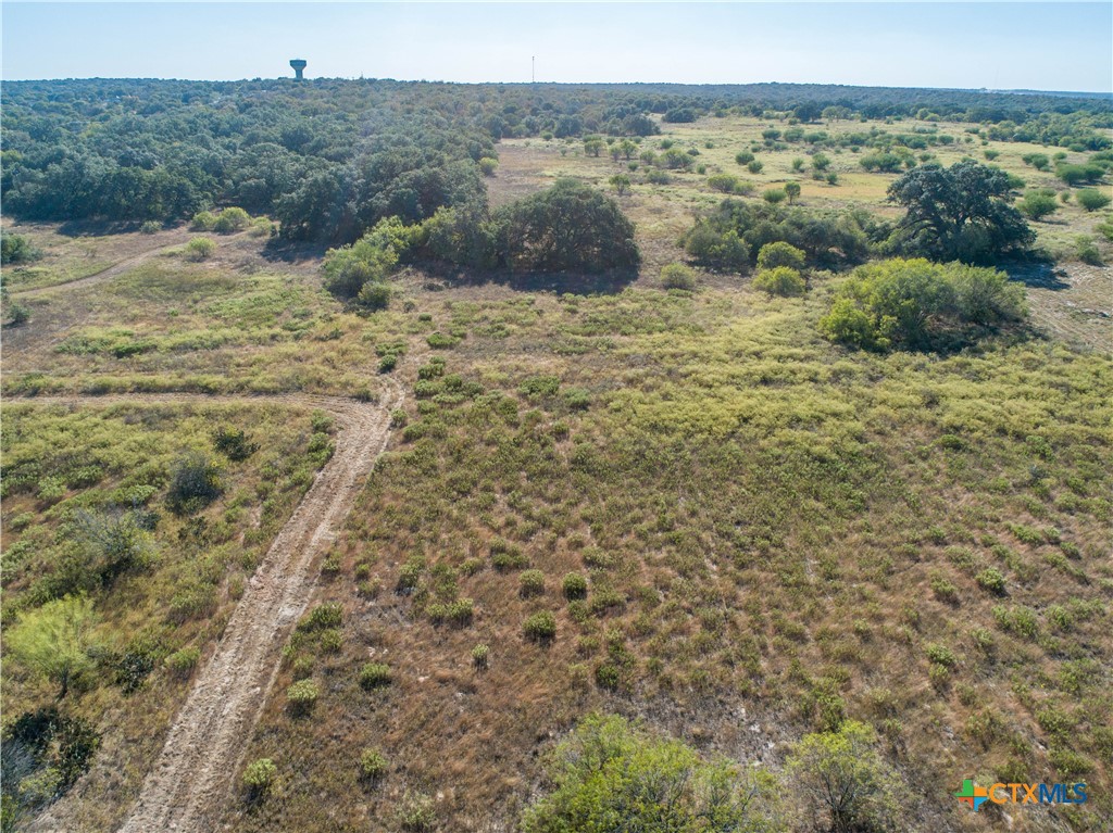 21123 Lamm Road Property Photo 4