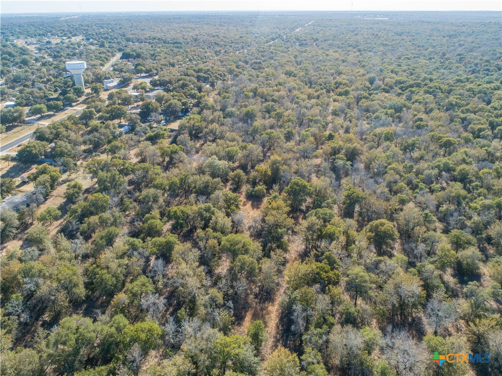 21123 Lamm Road Property Photo 7