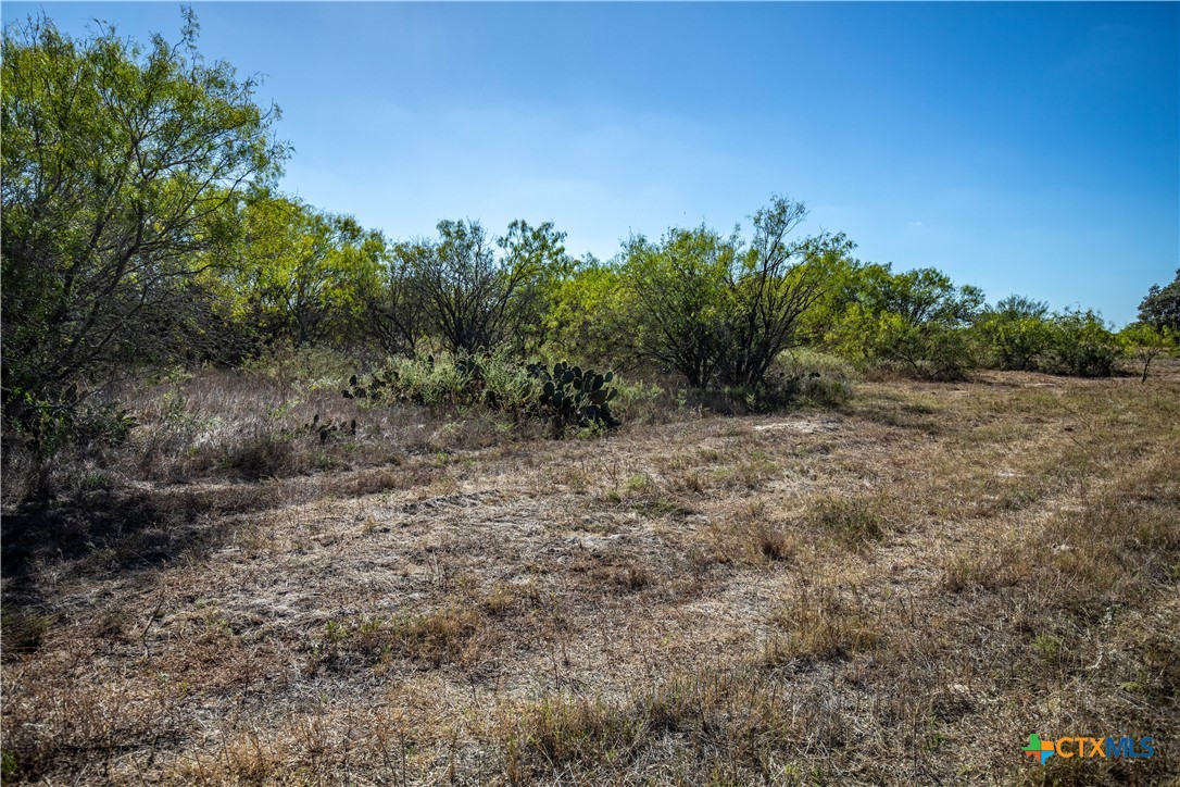 21123 Lamm Road Property Photo 11