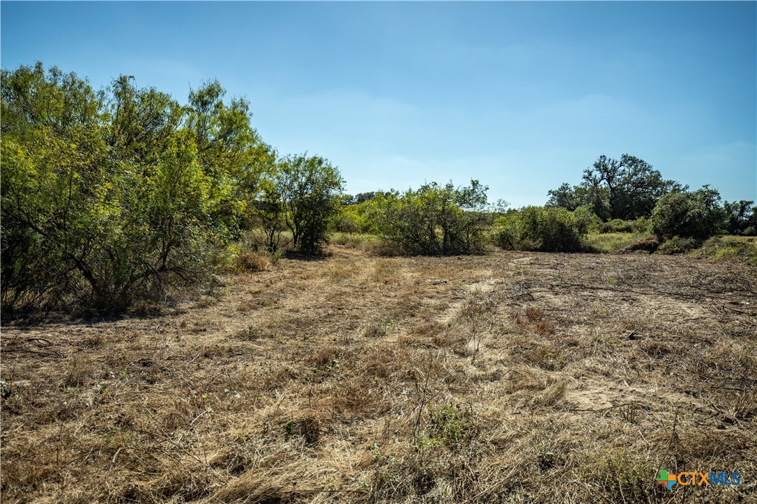 21123 Lamm Road Property Photo 12