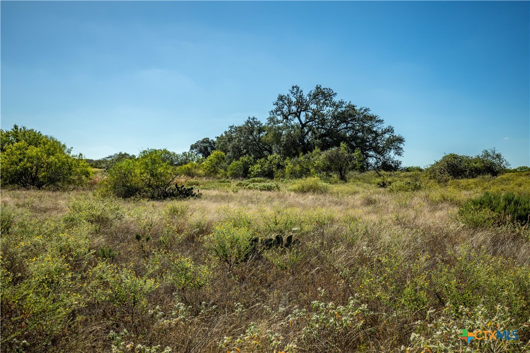 21123 Lamm Road Property Photo 13