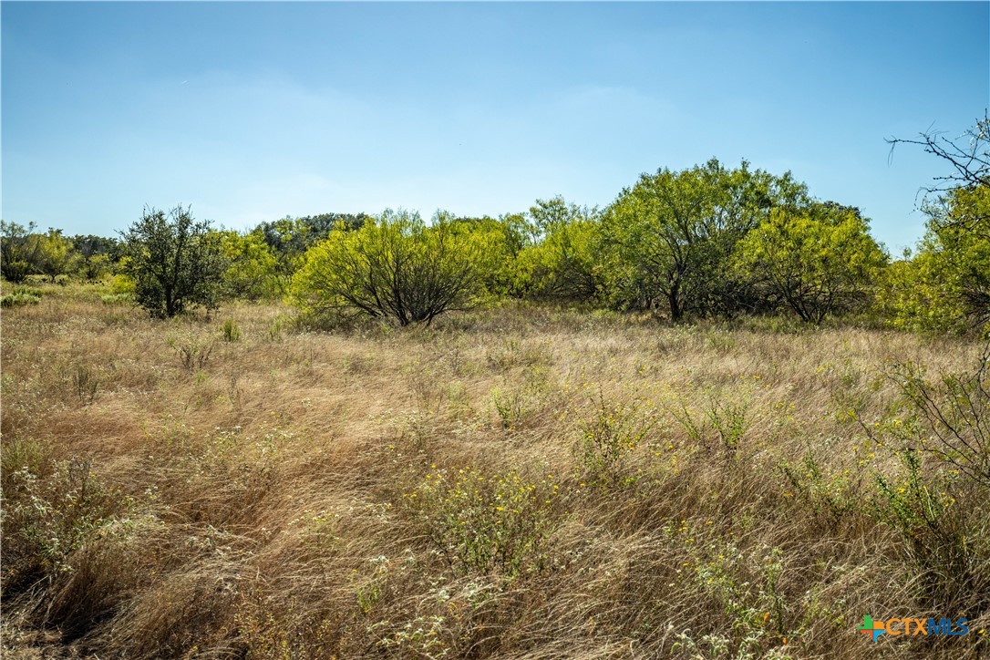 21123 Lamm Road Property Photo 14