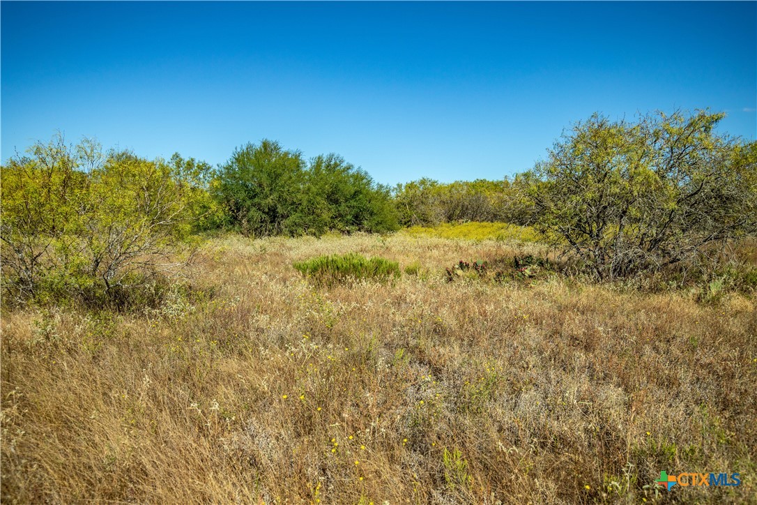 21123 Lamm Road Property Photo 15