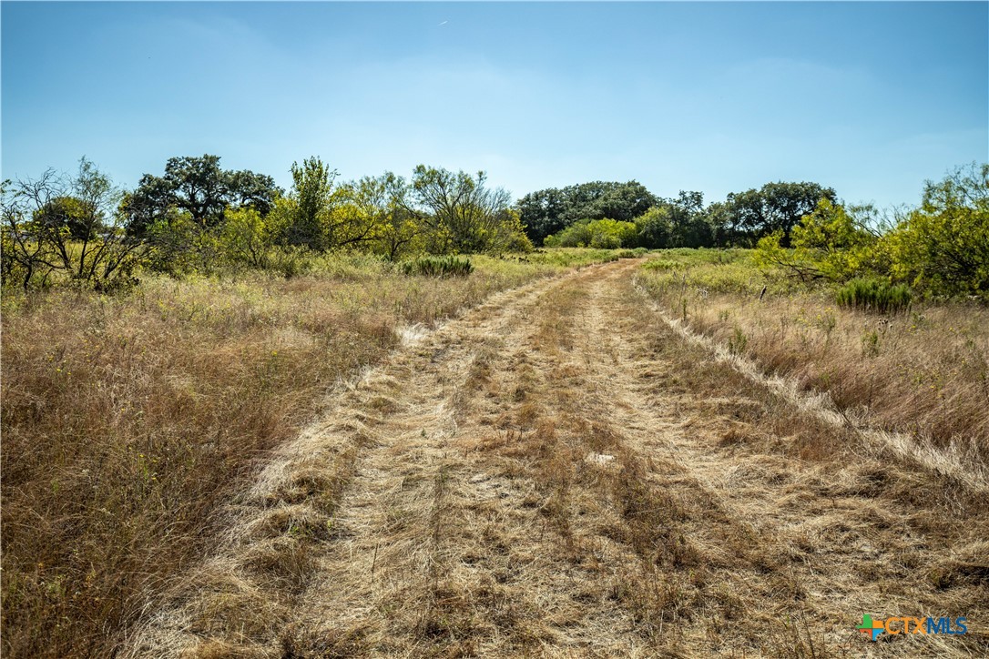 21123 Lamm Road Property Photo 16