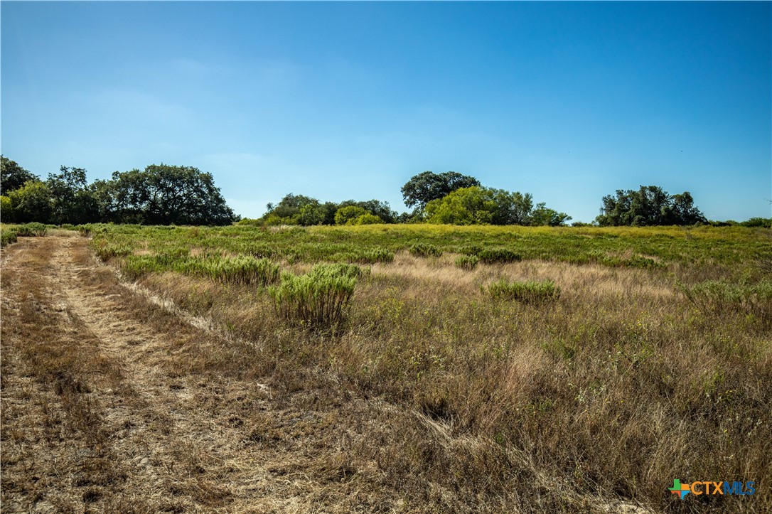 21123 Lamm Road Property Photo 17