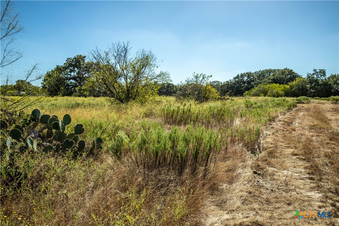 21123 Lamm Road Property Photo 18