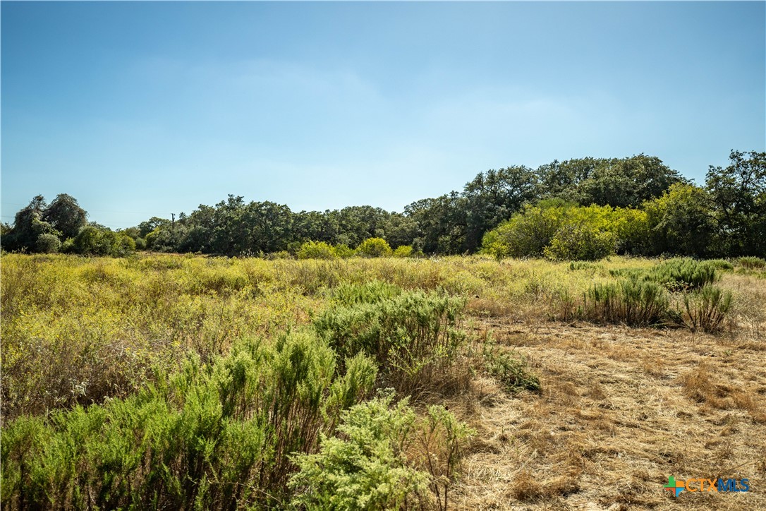 21123 Lamm Road Property Photo 19