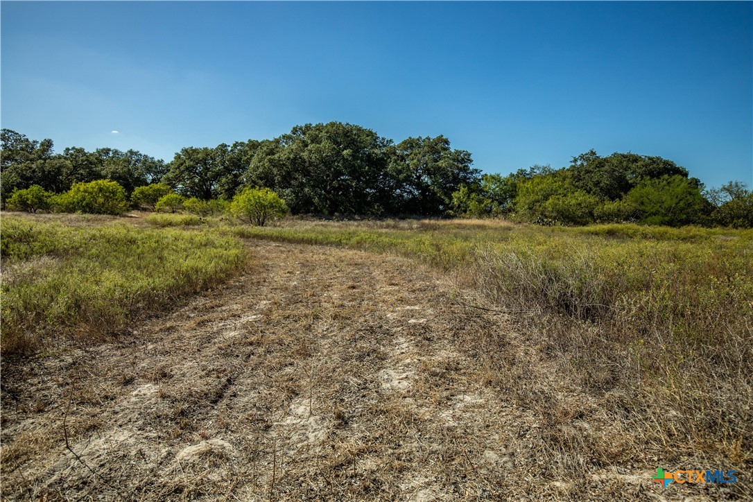 21123 Lamm Road Property Photo 21
