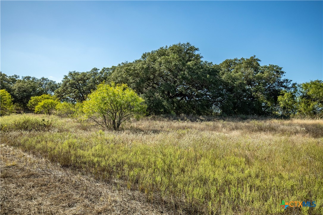 21123 Lamm Road Property Photo 22