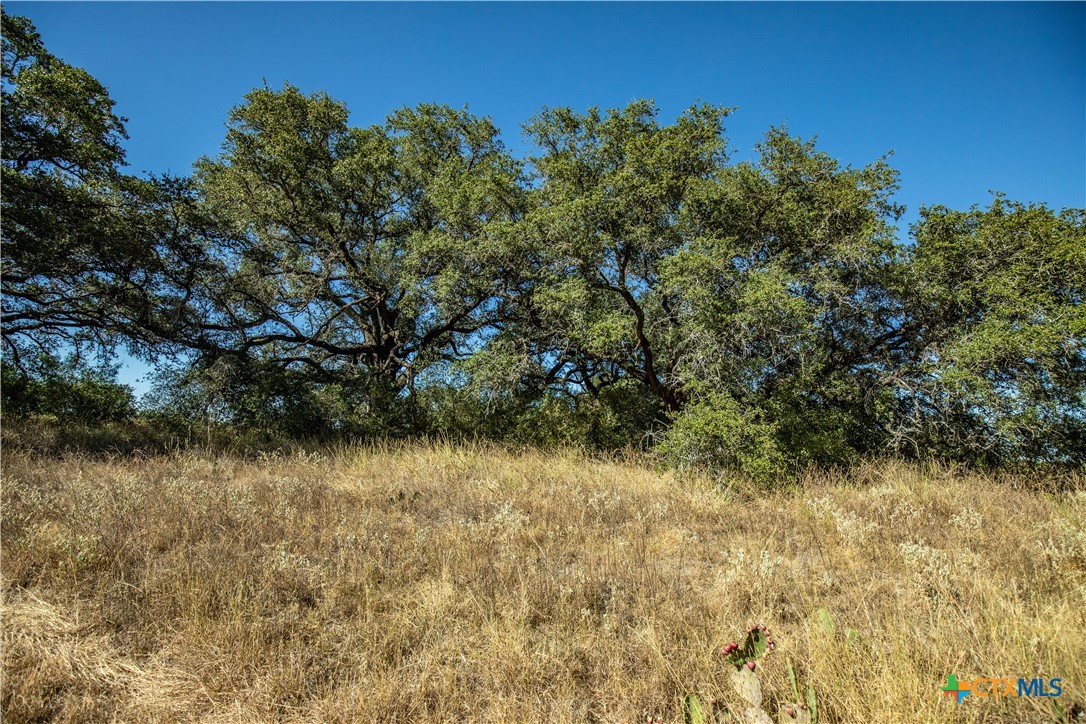 21123 Lamm Road Property Photo 24
