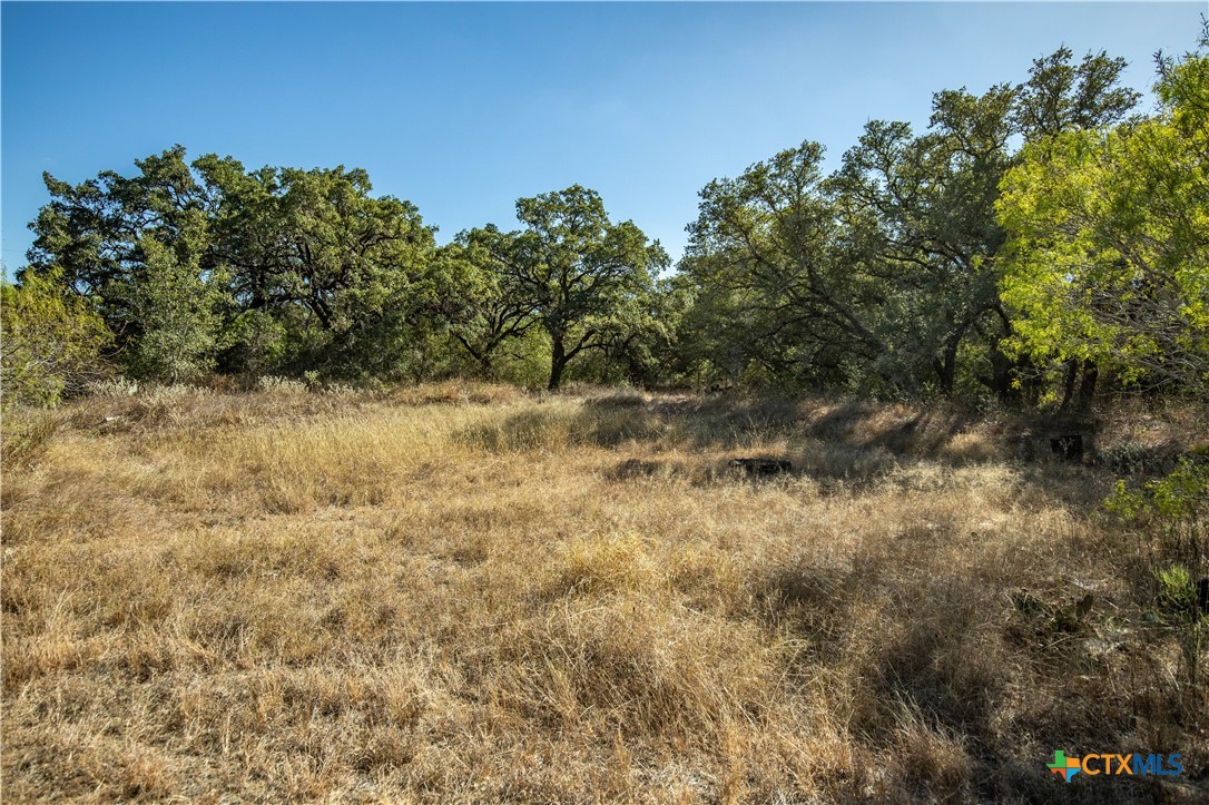 21123 Lamm Road Property Photo 25