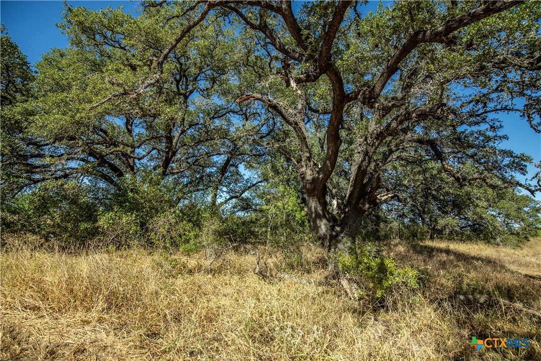 21123 Lamm Road Property Photo 26